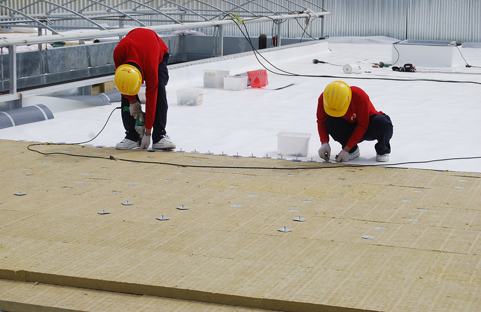 pp电子·模拟器(试玩游戏)官方网站