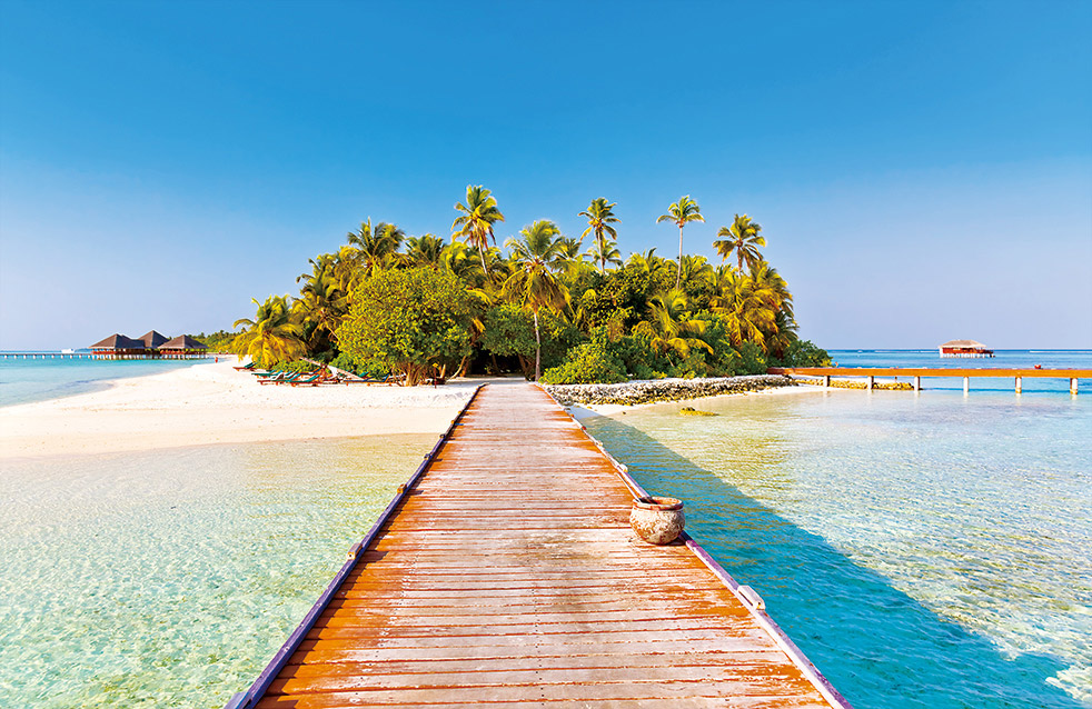 pp电子·模拟器(试玩游戏)官方网站