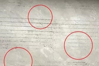 pp电子·模拟器(试玩游戏)官方网站