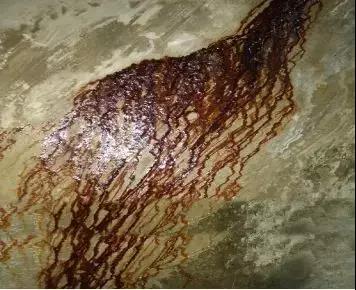 pp电子·模拟器(试玩游戏)官方网站