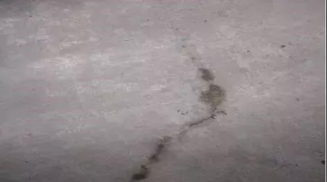 pp电子·模拟器(试玩游戏)官方网站