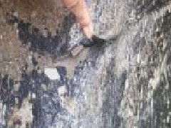 pp电子·模拟器(试玩游戏)官方网站