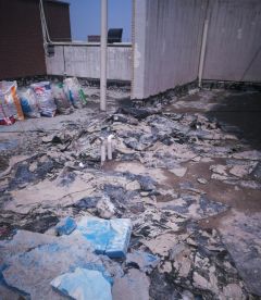 pp电子·模拟器(试玩游戏)官方网站