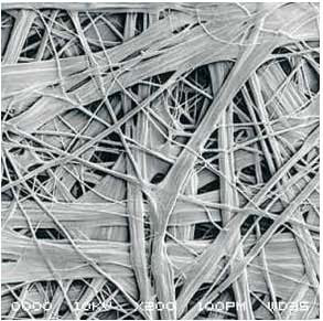 pp电子·模拟器(试玩游戏)官方网站