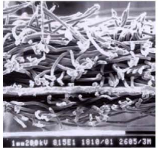 pp电子·模拟器(试玩游戏)官方网站