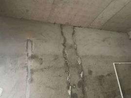 pp电子·模拟器(试玩游戏)官方网站