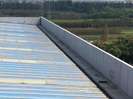 pp电子·模拟器(试玩游戏)官方网站