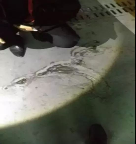 pp电子·模拟器(试玩游戏)官方网站