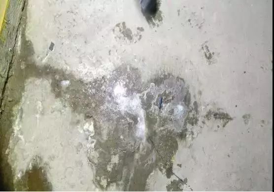 pp电子·模拟器(试玩游戏)官方网站