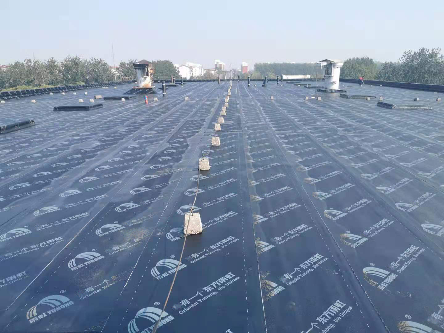 pp电子·模拟器(试玩游戏)官方网站