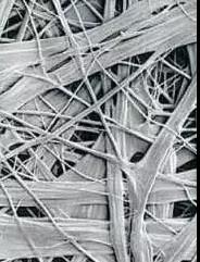 pp电子·模拟器(试玩游戏)官方网站