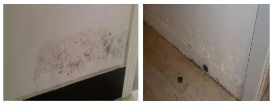 pp电子·模拟器(试玩游戏)官方网站