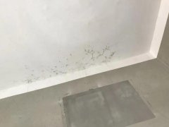 pp电子·模拟器(试玩游戏)官方网站