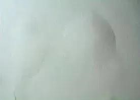 pp电子·模拟器(试玩游戏)官方网站