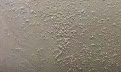 pp电子·模拟器(试玩游戏)官方网站