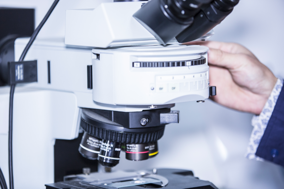 pp电子·模拟器(试玩游戏)官方网站