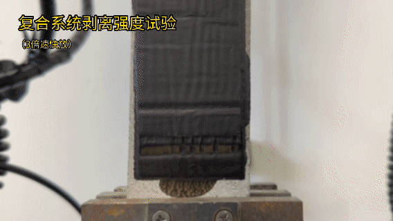 pp电子·模拟器(试玩游戏)官方网站