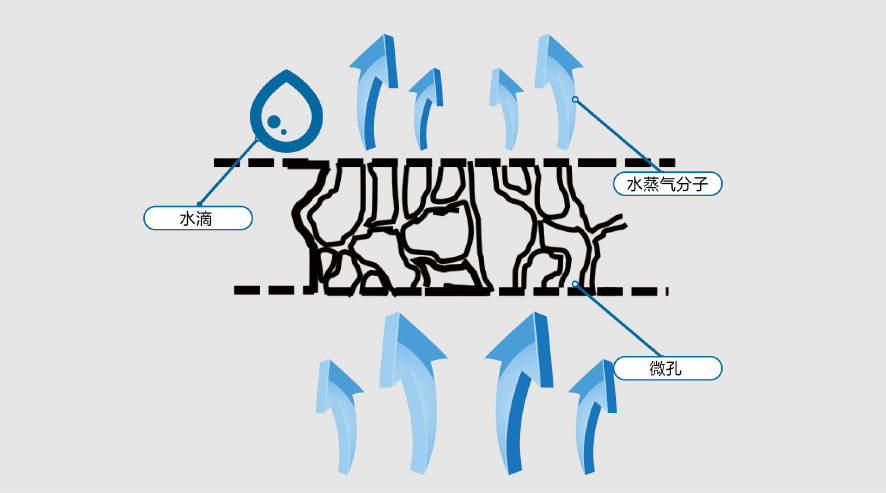 pp电子·模拟器(试玩游戏)官方网站
